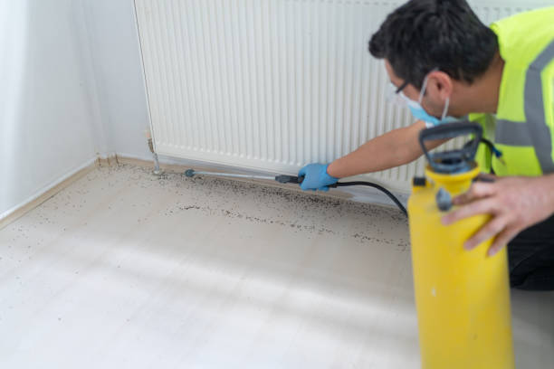 Best Pest Control Near Me  in Mineral Springs, NC